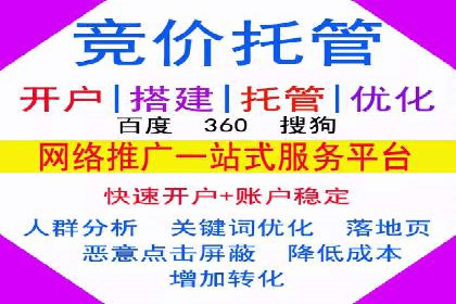 SEM代运营机构案例分析：优化策略与执行